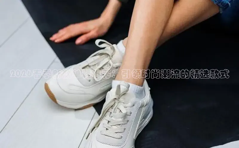 蜘蛛体育直播在线看